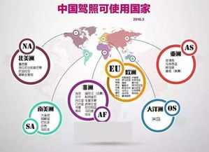 厲害了word中國駕照 約上好友，開啟全球自駕之旅！